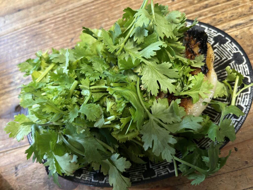 ブラインドパンダ　餃子　パクチー